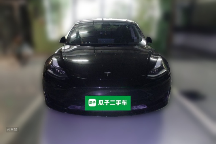 Tesla Model 3 2022 imagem de carro #3