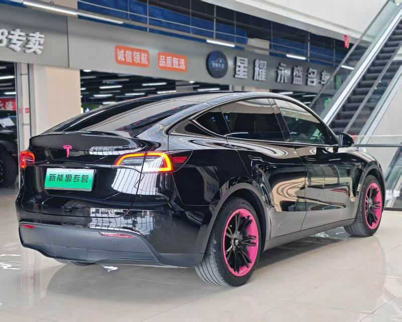 Tesla Model Y 2023 car image #6