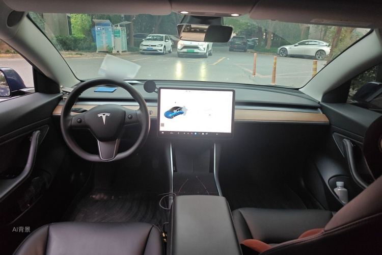 Tesla Model 3 2020 car image #11