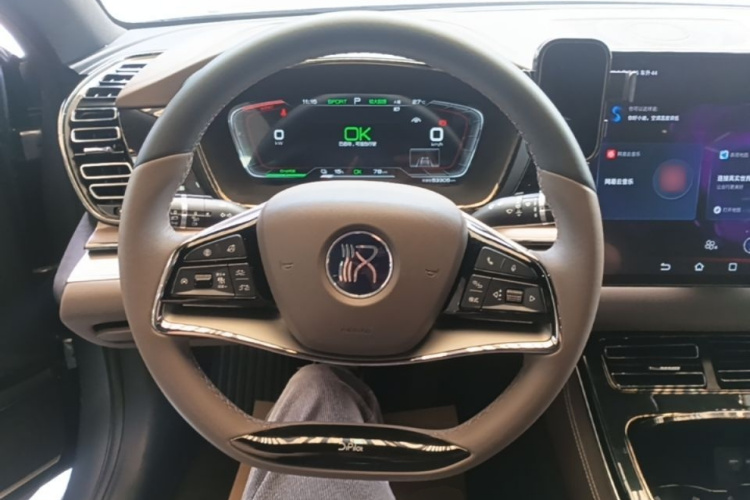BYD Han 2022 car image #15