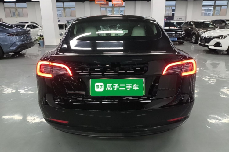 Tesla Model 3 2021 #6 Tesla Model 3 2021 car image #6
