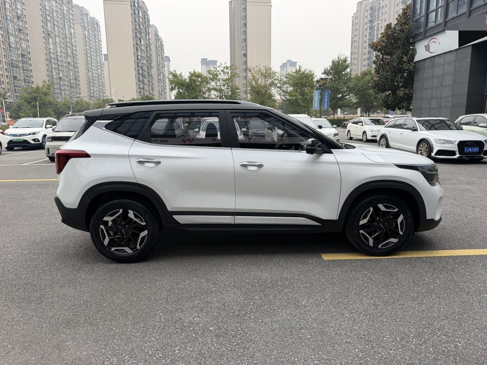 Kia Seltos 2023 #7 Kia Seltos 2023 car image #7