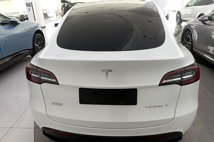 Tesla Model Y 2021 #6 Tesla Model Y 2021 car image #6