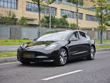 Tesla Model 3 2023 Tesla Model 3 2023 car image