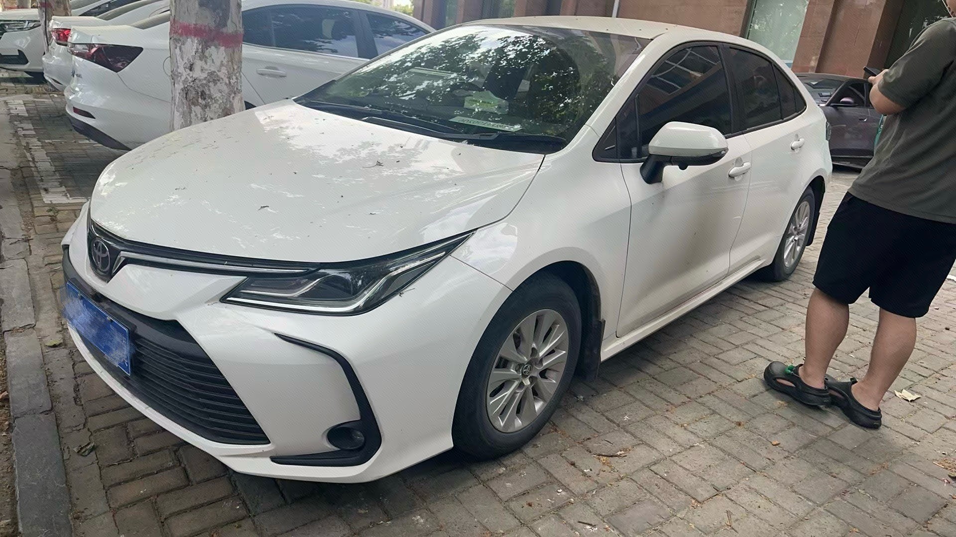 Toyota Corolla 2022 car image 