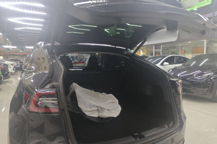 Tesla Model Y 2024 car image #19