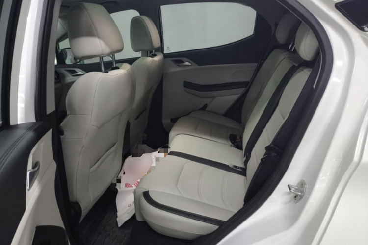 BYD Yuan Pro 2022 car image #17
