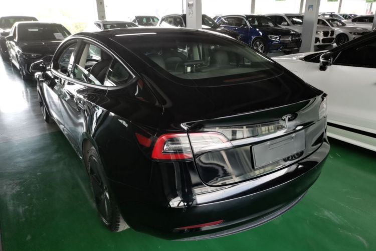 Tesla Model 3 2021 #5 Tesla Model 3 2021 car image #5