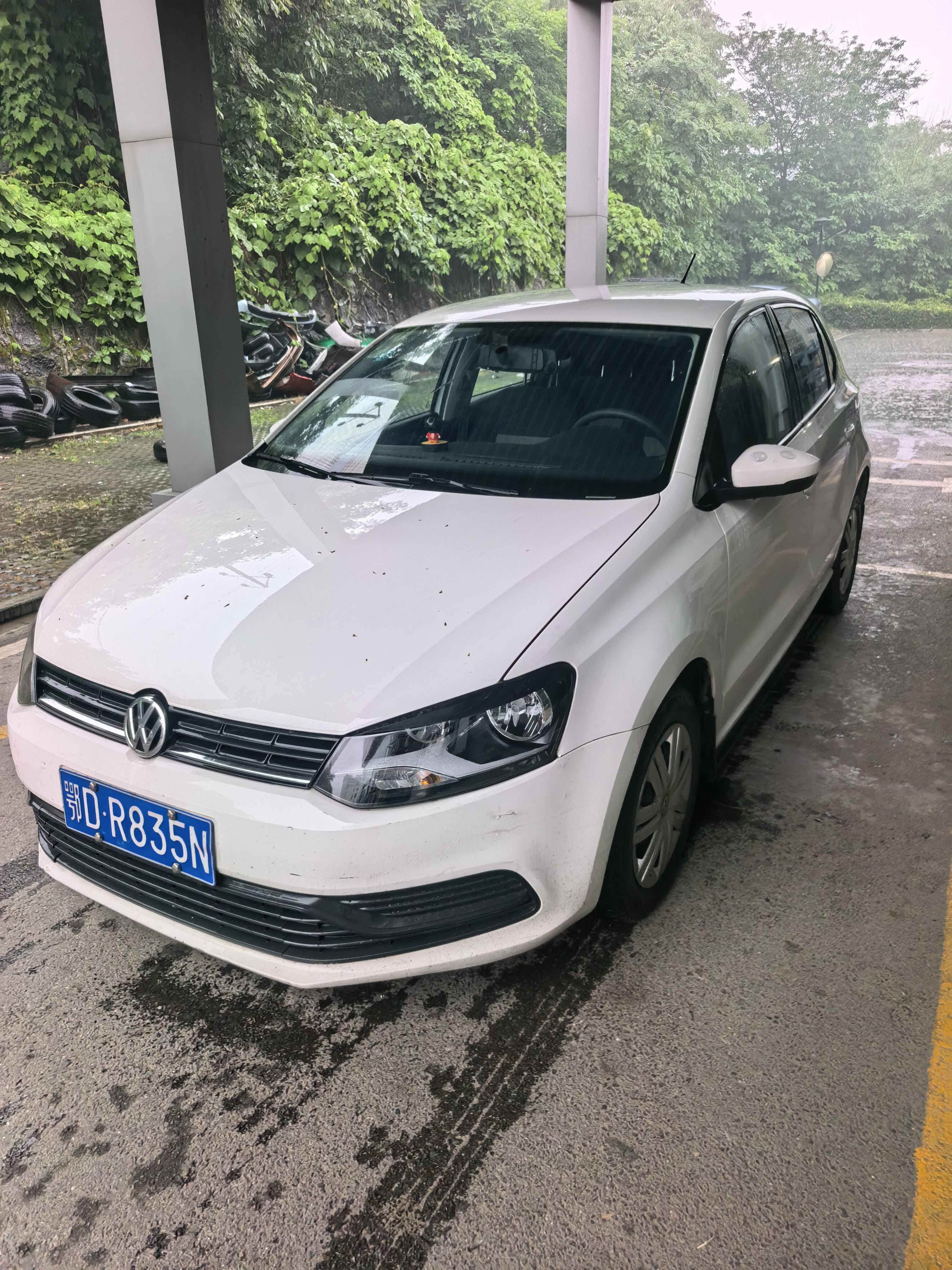 Volkswagen Polo 2019 Volkswagen Polo 2019 car image