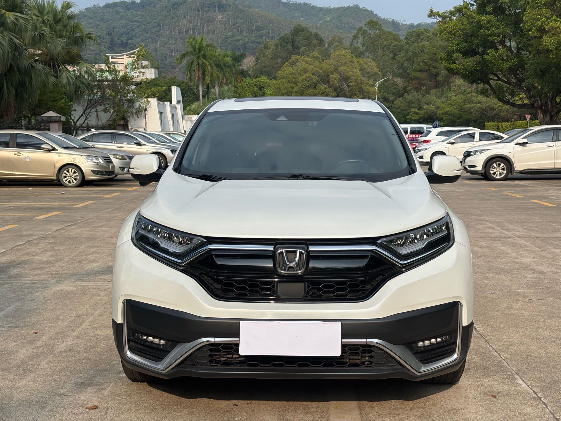 Honda CR-V 2022 #2 Honda CR-V 2022 car image #2