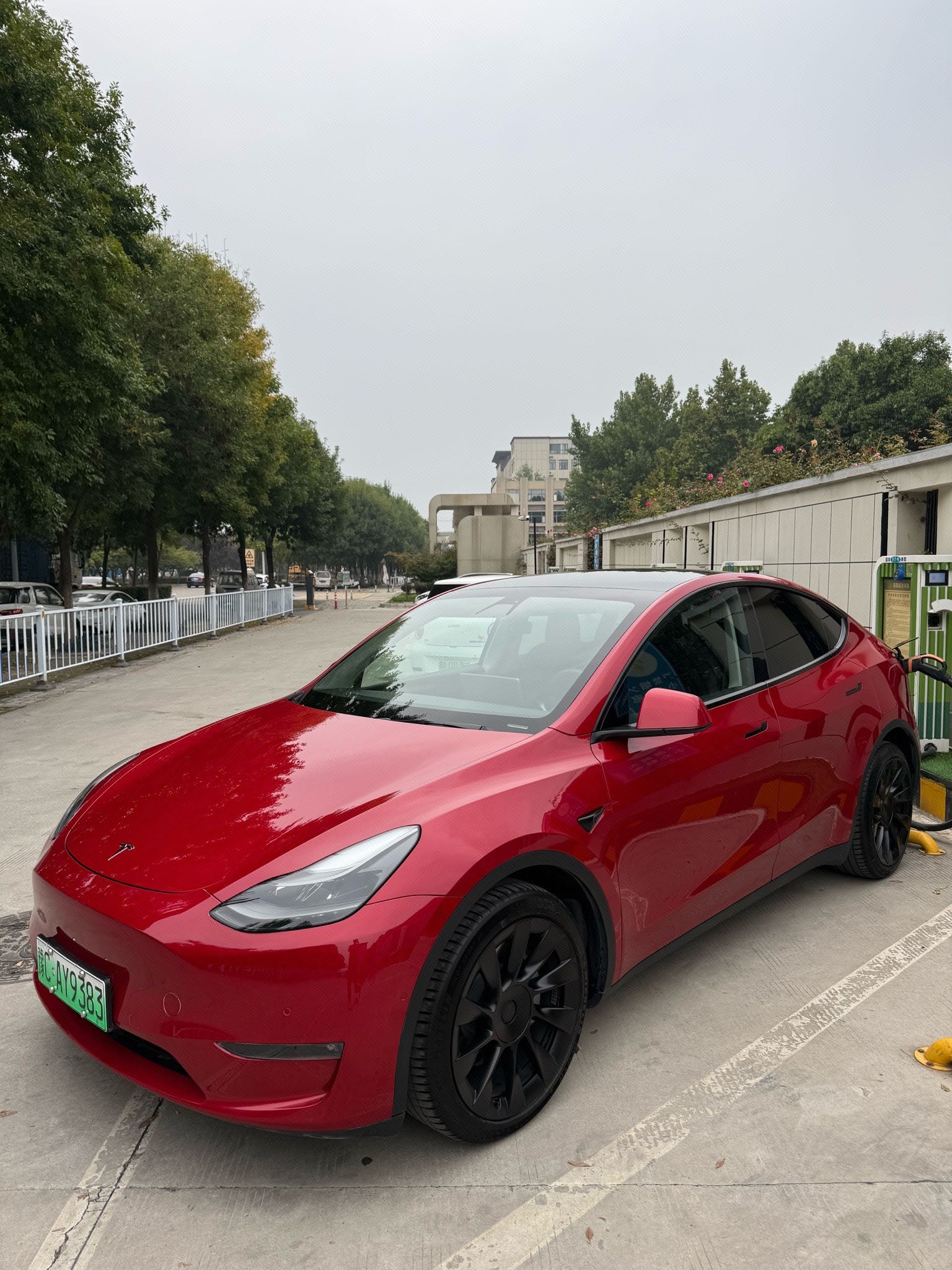 Tesla Model Y 2021 صورة سيارة 