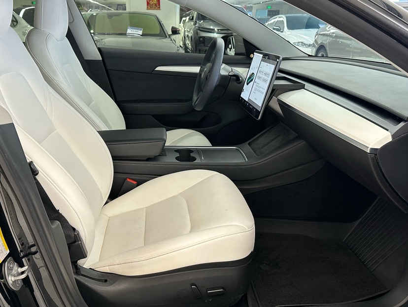 Tesla Model 3 2021 car image #7