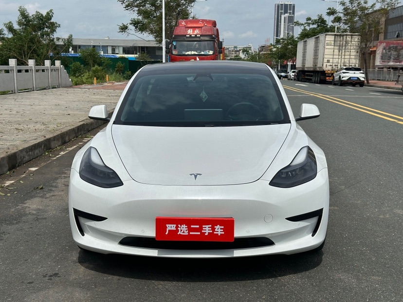 Tesla Model 3 2021 #2 Tesla Model 3 2021 car image #2