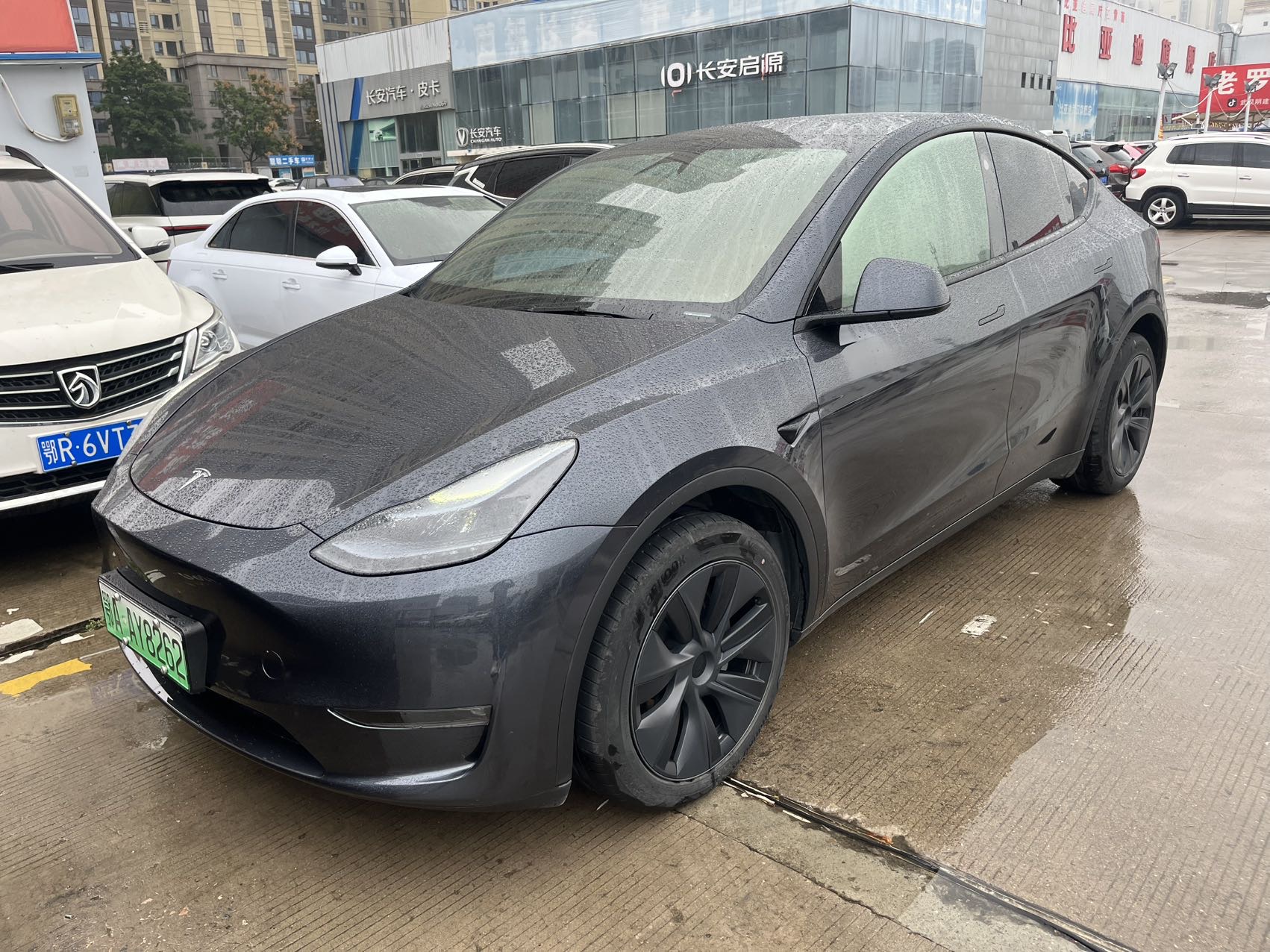 Tesla Model Y 2024 car image 