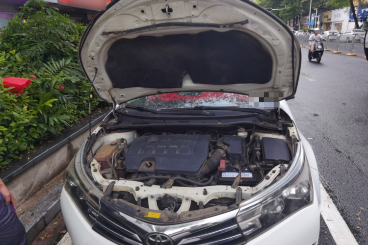 2015 #19 2015 car image #19