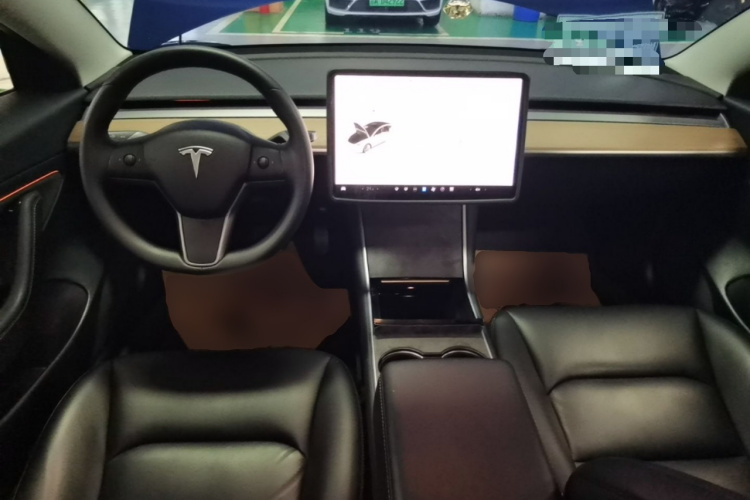 Tesla Model 3 2020 car image #10