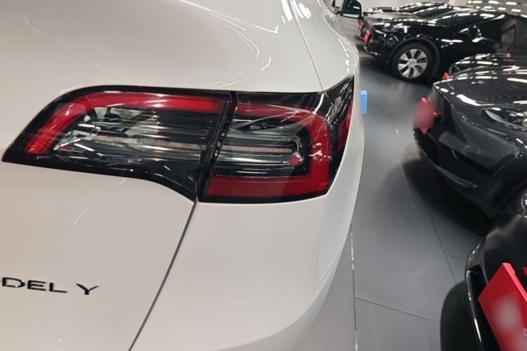 Tesla Model Y 2023 #8 Tesla Model Y 2023 car image #8