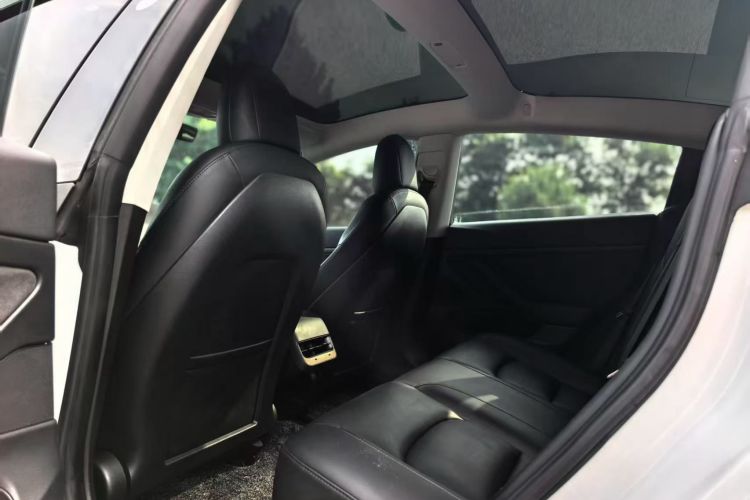Tesla Model 3 2020 #17 Tesla Model 3 2020 car image #17