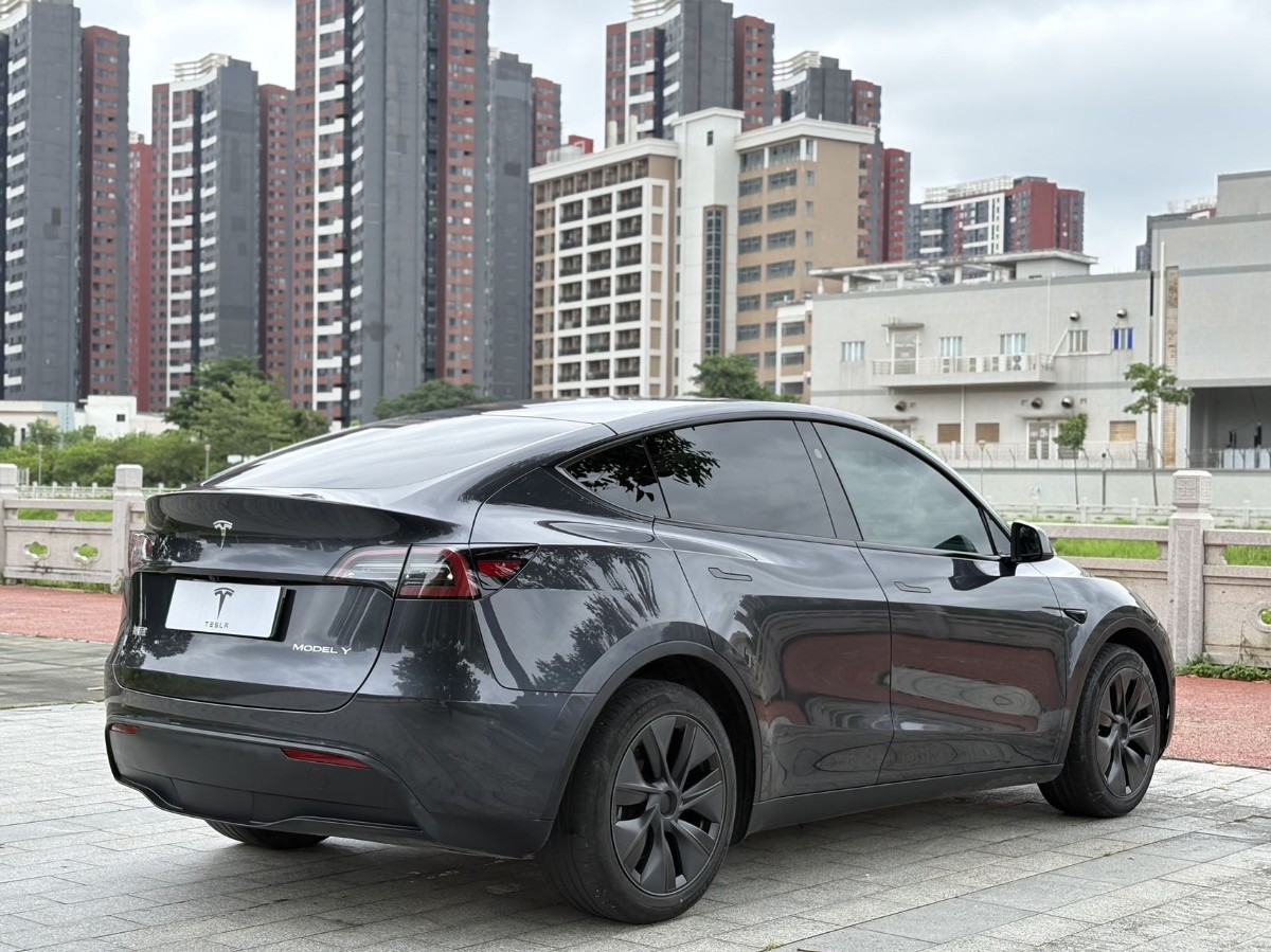 Tesla Model Y 2024 car image #9