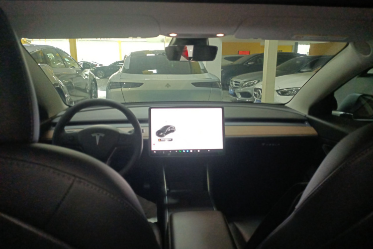 Tesla Model 3 2020 car image #11