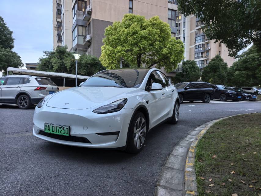 Tesla Model Y 2021 Tesla Model Y 2021 car image