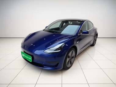 Tesla Model 3 2020 Tesla Model 3 2020 car image