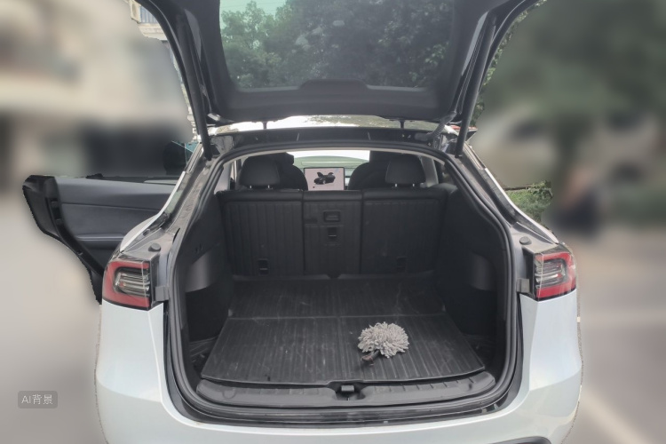 Tesla Model Y 2023 #21 Tesla Model Y 2023 car image #21