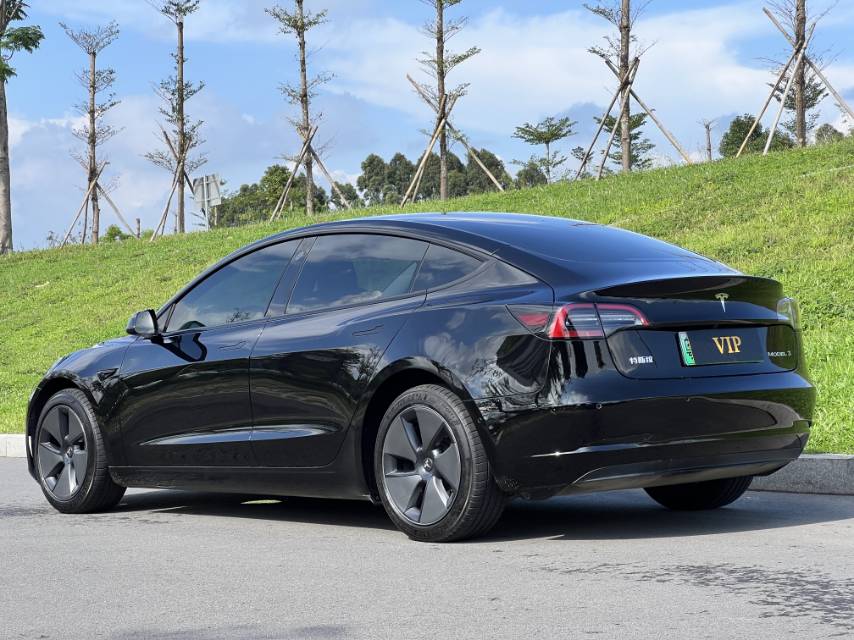 Tesla Model 3 2023 car image #6
