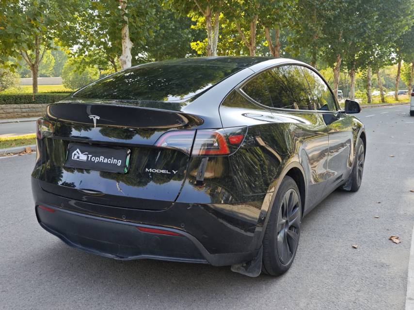Tesla Model Y 2023 #9 Tesla Model Y 2023 car image #9