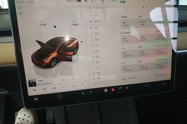 Tesla Model Y 2023 car image #12