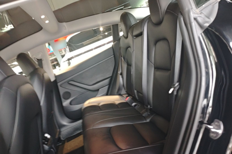 Tesla Model 3 2023 car image #17