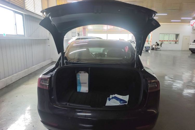 Tesla Model 3 2021 #19 Tesla Model 3 2021 car image #19