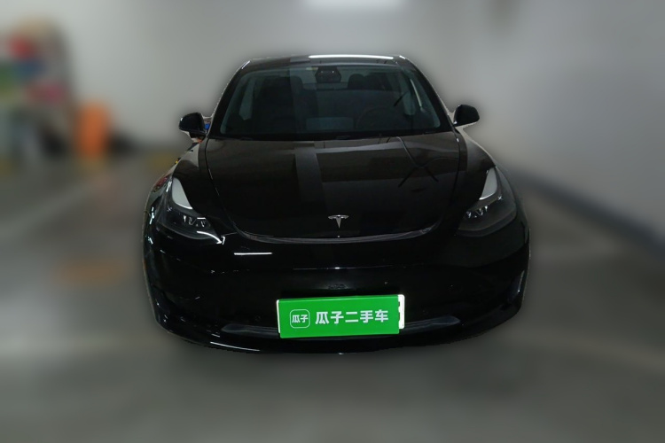 Tesla Model 3 2021 #3 Tesla Model 3 2021 immagine di auto #3