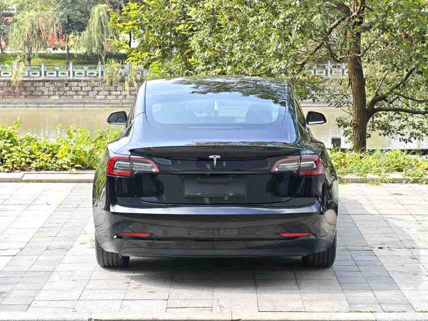 Tesla Model 3 2020 #3 Tesla Model 3 2020 car image #3