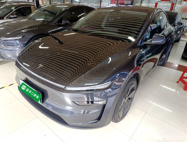Tesla Model Y 2025 Tesla Model Y 2025 car image