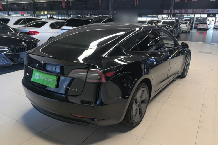 Tesla Model 3 2021 car image #7