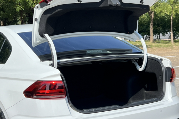 Volkswagen Bora 2024 car image #21