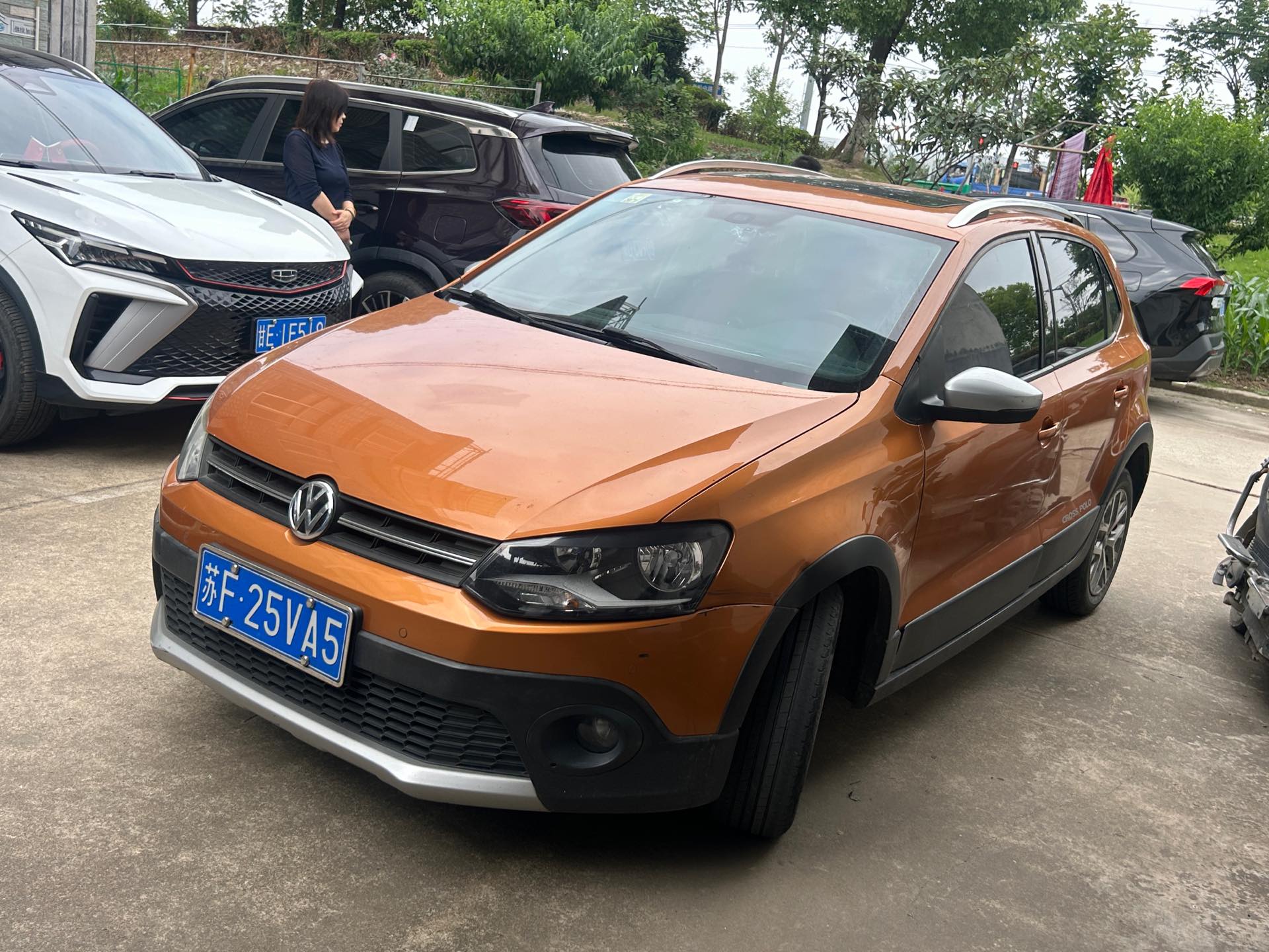 Volkswagen Polo 2014 car image 
