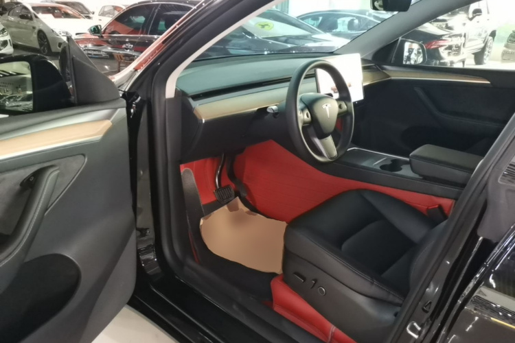 Tesla Model Y 2023 car image #16