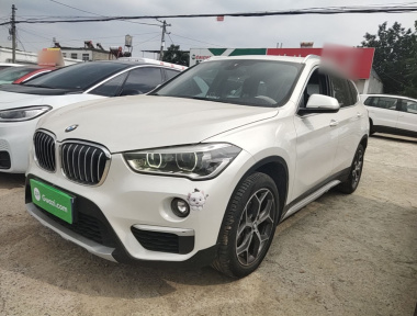 BMW X1 2019 BMW X1 2019 car image