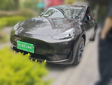 Tesla Model Y 2023 Tesla Model Y 2023 car image