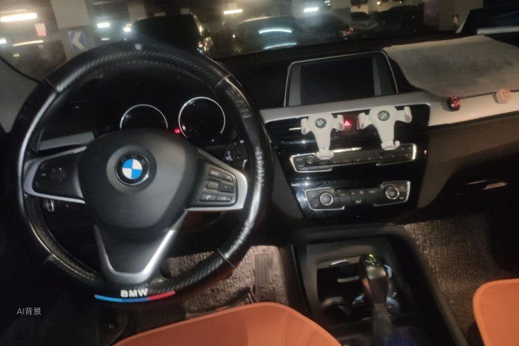 BMW X1 2019 car image #11