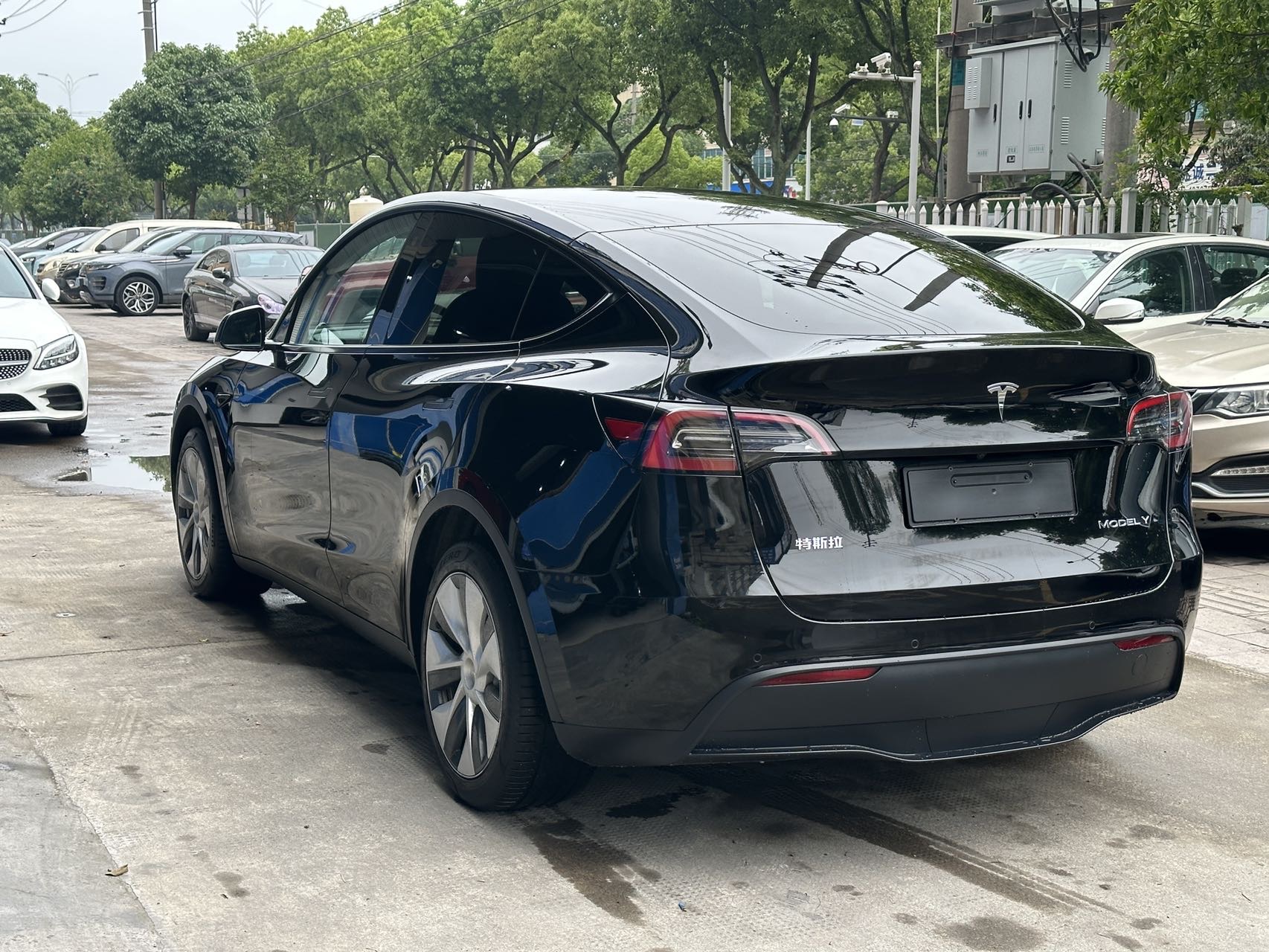 Tesla Model Y 2023 #5 Tesla Model Y 2023 car image #5
