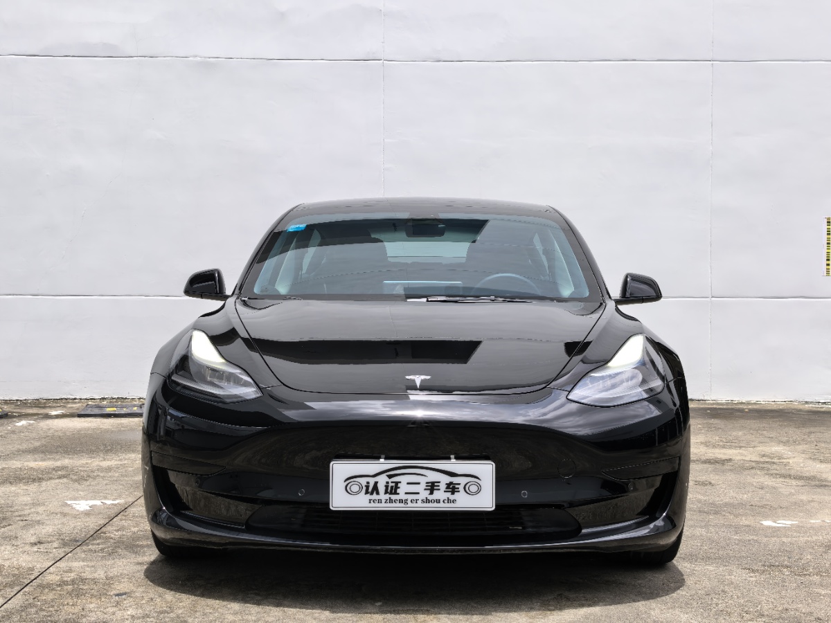 Tesla Model 3 2021 #2 Tesla Model 3 2021 car image #2