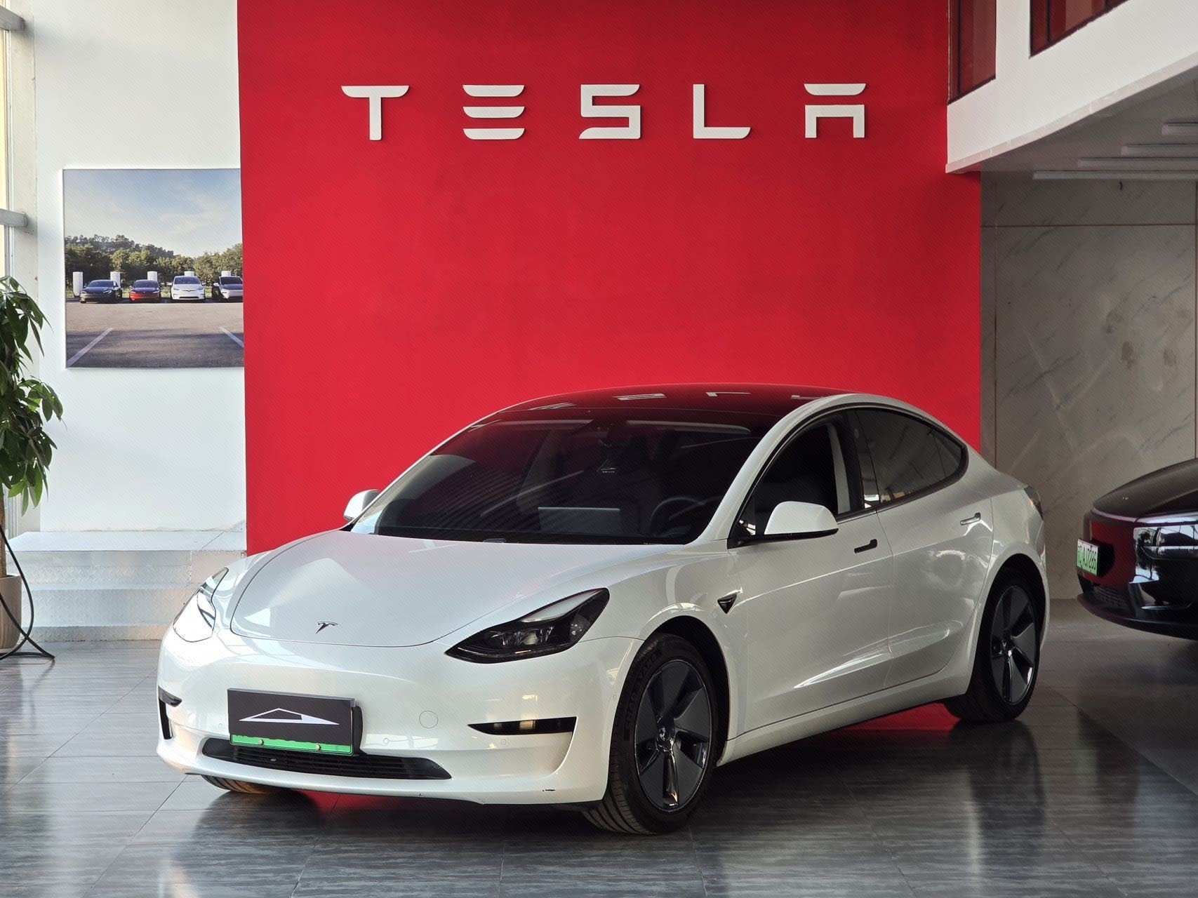 Tesla Model 3 2021 immagine di auto 