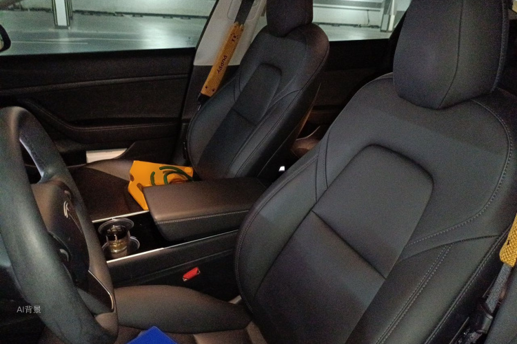 Tesla Model 3 2020 car image #17