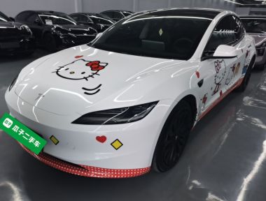 Tesla Model 3 2024 car image 