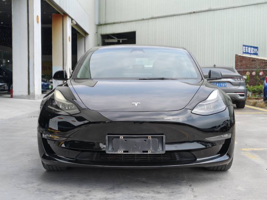 Tesla Model 3 2021 car image 