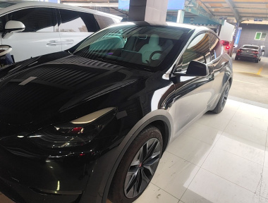 Tesla Model Y 2021 car image 