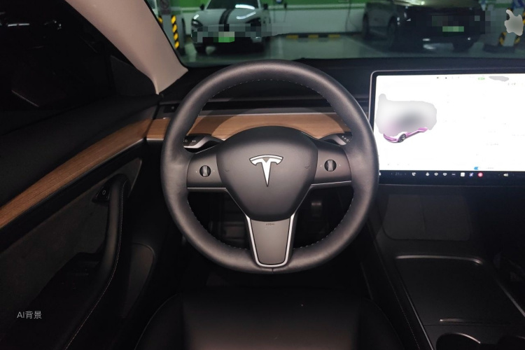 Tesla Model 3 2021 car image #12